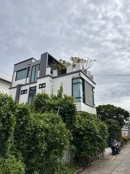 บ้านเดี่ยวสร้างเอง ลาดพร้าว 80, Bangkok, Wang Thonglang, Wang Thonglang, Bangkok, 3 Bedrooms, 300 sqm, Single Detached House For Rent, by Supaporn Sekajarn, 500217466 - DDproperty.com