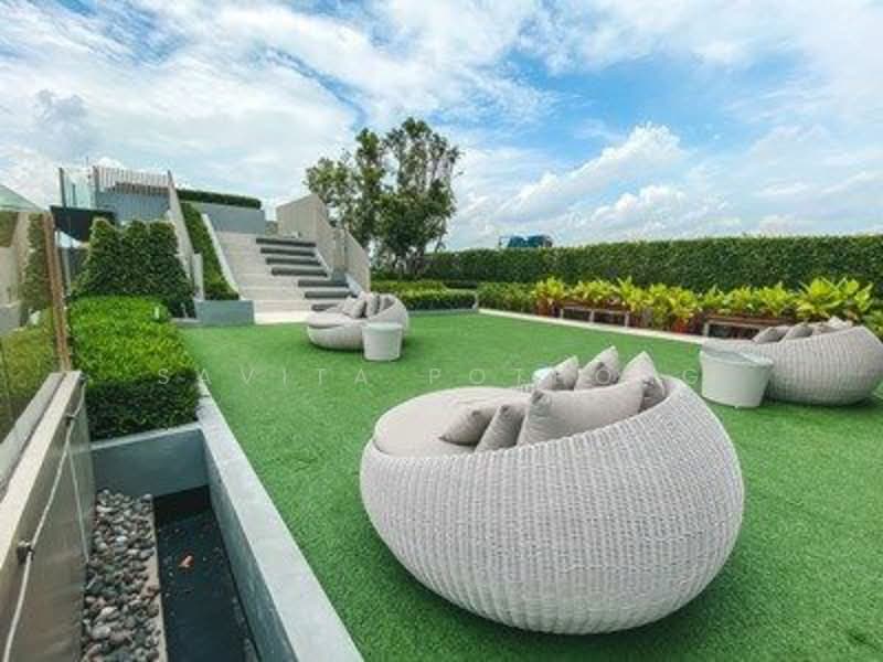 Life Sukhumvit 62, Bangkok, Soi Sukhumvit 62, Bang Chak, Phra Khanong, Bangkok, 1 Bedroom, 30 sqm, Condo For Rent, by Savita Pothong, 500217477 - DDproperty.com