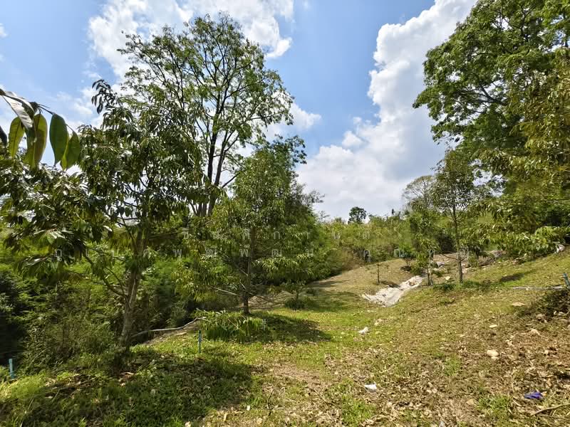 ขาย - ขายด่วน บ้านสวน พร้อมทุเรียน 2 ไร่ วังน้ำเขียว ติดวัดป่าปฏิบัติธรรม ทำเลดี อากาศบริสุทธิ์, นครราชสีมา