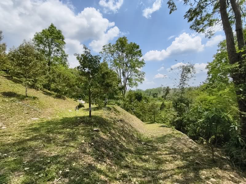 ขาย - ขายด่วน บ้านสวน พร้อมทุเรียน 2 ไร่ วังน้ำเขียว ติดวัดป่าปฏิบัติธรรม ทำเลดี อากาศบริสุทธิ์, นครราชสีมา