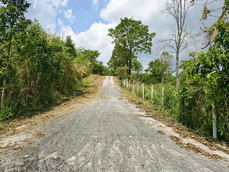 ขาย - ขายด่วน บ้านสวน พร้อมทุเรียน 2 ไร่ วังน้ำเขียว ติดวัดป่าปฏิบัติธรรม ทำเลดี อากาศบริสุทธิ์, นครราชสีมา