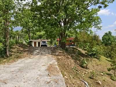 ขาย - ขายด่วน บ้านสวน พร้อมทุเรียน 2 ไร่ วังน้ำเขียว ติดวัดป่าปฏิบัติธรรม ทำเลดี อากาศบริสุทธิ์, นครราชสีมา