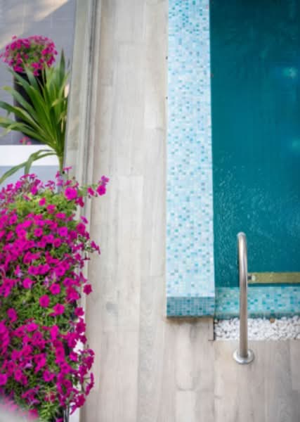 Maison Blanche – Sukhumvit 67 : เมซอง บลองช – สุขุมวิท 67, กรุงเทพ, 59 ซอยสุขุมวิท 67, พระโขนงเหนือ, วัฒนา, กรุงเทพ, 244 ตร.ม., บ้านเดี่ยว ให้เช่า, โดย Airada Parasarn, 500217518 - DDproperty.com