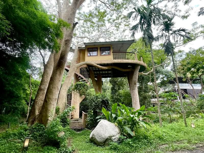 For Rent/Sale Unique Wooden Villa with Pool & Garden for Rent/Sale in Mae Rim, Chiang Mai. Near Prem, Chiang Mai, Muang Kaeo, Mae Rim, Chiang Mai, 4 Bedrooms, 800 sqm, Villa For Rent, by Sirinrat Maneerat, 500217519 - DDproperty.com