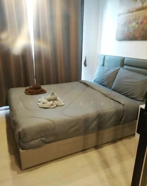 The Excel Groove Lasalle 52, Bangkok, Soi Sukhumvit 105 Lasalle Road, Bang Na, Bang Na, Bangkok, 1 Bedroom, 27 sqm, Condo For Rent, by กุลจิรา อภัยโส, 500217521 - DDproperty.com