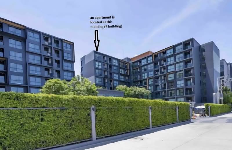 The Excel Groove Lasalle 52, Bangkok, Soi Sukhumvit 105 Lasalle Road, Bang Na, Bang Na, Bangkok, 1 Bedroom, 27 sqm, Condo For Rent, by กุลจิรา อภัยโส, 500217521 - DDproperty.com