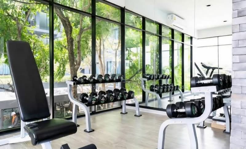 The Excel Groove Lasalle 52, Bangkok, Soi Sukhumvit 105 Lasalle Road, Bang Na, Bang Na, Bangkok, 1 Bedroom, 27 sqm, Condo For Rent, by กุลจิรา อภัยโส, 500217521 - DDproperty.com