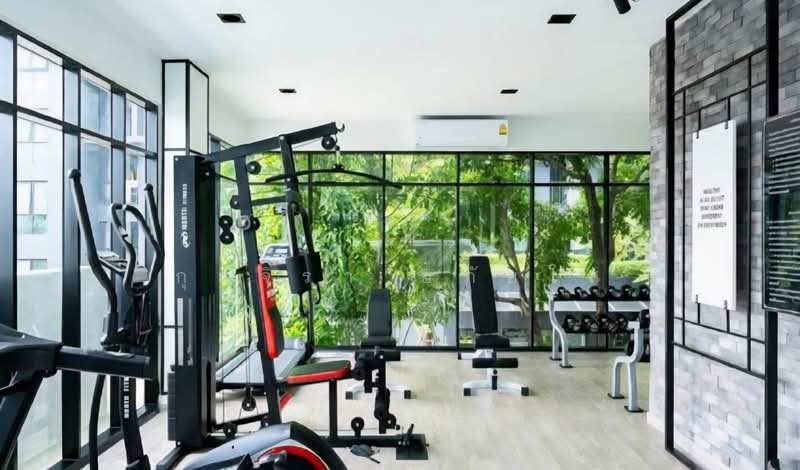 The Excel Groove Lasalle 52, Bangkok, Soi Sukhumvit 105 Lasalle Road, Bang Na, Bang Na, Bangkok, 1 Bedroom, 27 sqm, Condo For Rent, by กุลจิรา อภัยโส, 500217521 - DDproperty.com