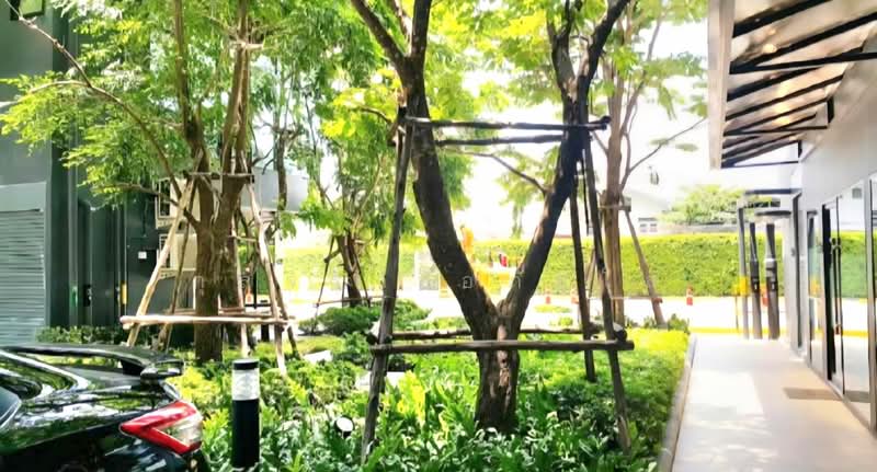 The Excel Groove Lasalle 52 : ดิ เอ็กซ์เซล กรูฟ ลาซาล 52, กรุงเทพ, ซอยสุขุมวิท 105 ถนนลาซาล, บางนา, บางนา, กรุงเทพ, 27 ตร.ม., คอนโด ให้เช่า, โดย กุลจิรา อภัยโส, 500217521 - DDproperty.com