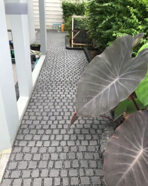 Perfect Place Sukhumvit 77-Suvarnabhumi, Samut Prakan, Lat Krabang Road, Rachathewa, Bang Plee, Samut Prakan, 4 Bedrooms, 147 sqm, Single Detached House For Rent, by Airada Parasarn, 500217522 - DDproperty.com