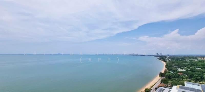 Del Mare Bangsaray Beachfront : เดลมาเล่ย์ บางเสร่ บีชฟรอนท์, ชลบุรี, นาจอมเทียน 56, บางเสร่, สัตหีบ, ชลบุรี, 80 ตร.ม., คอนโด ขาย, โดย Sathida Limphasut (App), 500217619 - DDproperty.com