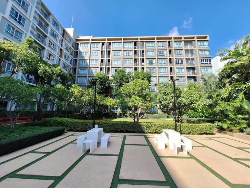Dcondo Sign, Chiang Mai, Hwy Chiang Mai-Lampang Frontage Road, Fa Ham, Muang Chiang Mai, Chiang Mai, 1 Bedroom, 30 sqm, Condo For Rent, by Best Choice Property, 500217928 - DDproperty.com