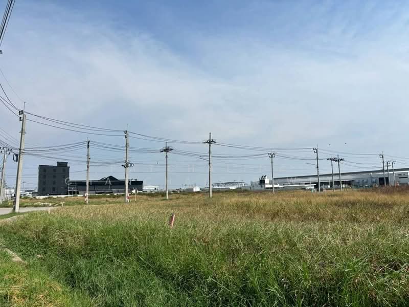 LAND for SALE 5 - 50 Rai in IEAT Samutrprakarn Chachoengsao Chonburi Rayong, Samut Prakan, Ban Rakat, Bang Bo, Samut Prakan, , 8,000 sqm, Warehouse/Factory For Sale, by Patchalida Chanchaisiriwet, 500217932 - DDproperty.com
