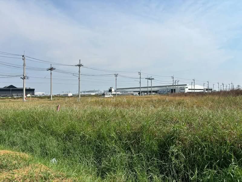 LAND for SALE 5 - 50 Rai in IEAT Samutrprakarn Chachoengsao Chonburi Rayong, Samut Prakan, Ban Rakat, Bang Bo, Samut Prakan, , 8,000 sqm, Warehouse/Factory For Sale, by Patchalida Chanchaisiriwet, 500217932 - DDproperty.com