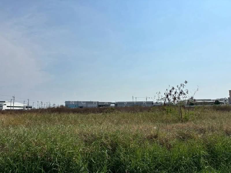 LAND for SALE 5 - 50 Rai in IEAT Samutrprakarn Chachoengsao Chonburi Rayong, Samut Prakan, Ban Rakat, Bang Bo, Samut Prakan, , 8,000 sqm, Warehouse/Factory For Sale, by Patchalida Chanchaisiriwet, 500217932 - DDproperty.com