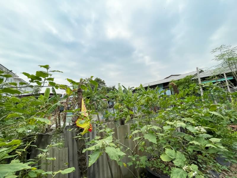 ที่ดินท้ายบ้านใหม่ สมุทรปราการ, สมุทรปราการ, ท้ายบ้านใหม่, เมืองสมุทรปราการ, สมุทรปราการ, 392 ตร.ม., ที่ดิน ขาย, โดย The Best Property จอย, 500218071 - DDproperty.com