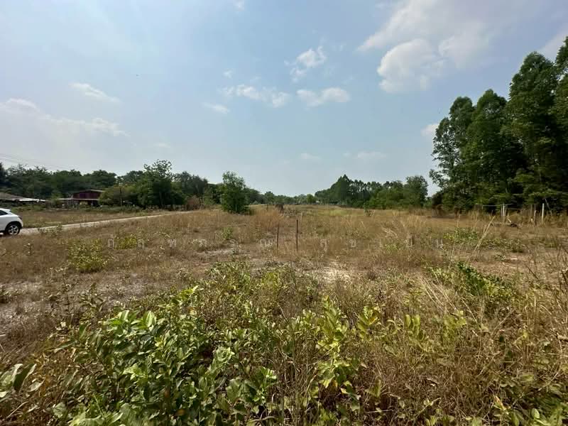 ที่ดิน ต.ศรีกะอาง อ.บ้านนา จ.นครนายก, Nakhon Nayok, Sri Sa-ang, Ban Na, Nakhon Nayok, , 8,400 sqm, Land For Sale, by กัลฑภรณ์ สุขเย็น, 500218097 - DDproperty.com