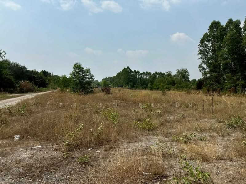 ที่ดิน ต.ศรีกะอาง อ.บ้านนา จ.นครนายก, Nakhon Nayok, Sri Sa-ang, Ban Na, Nakhon Nayok, , 8,400 sqm, Land For Sale, by กัลฑภรณ์ สุขเย็น, 500218097 - DDproperty.com