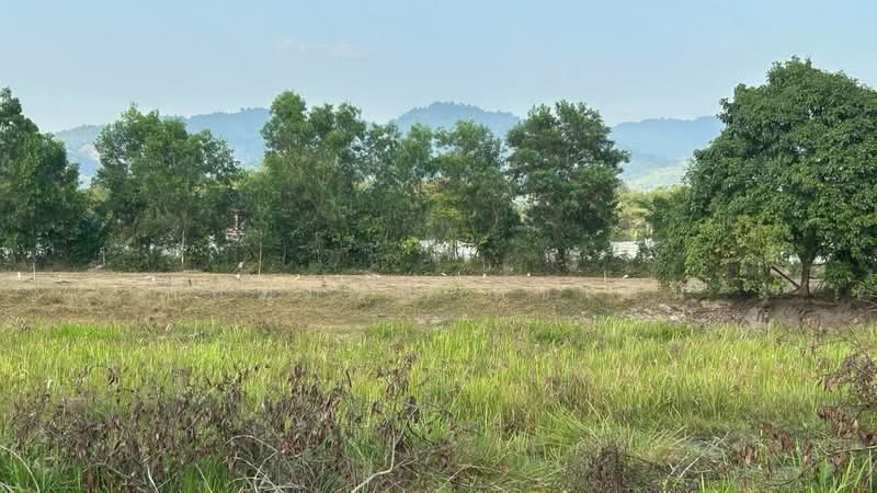 ที่ดิน ต.ศรีกะอาง อ.บ้านนา จ.นครนายก, นครนายก, ศรีกะอาง, บ้านนา, นครนายก, 8,400 ตร.ม., ที่ดิน ขาย, โดย กัลฑภรณ์ สุขเย็น, 500218097 - DDproperty.com