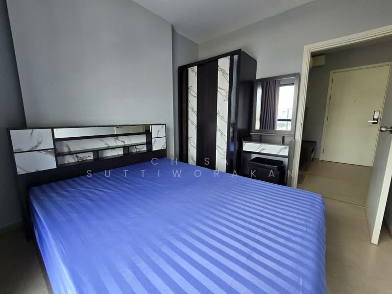 The Tree Sukhumvit 71-Ekamai : เดอะทรี สุขุมวิท 71 – เอกมัย, กรุงเทพ, 1269 ถ. สุขุมวิท 71, สวนหลวง, สวนหลวง, กรุงเทพ, 30 ตร.ม., คอนโด ให้เช่า, โดย Chisa Suttiworakan, 500218126 - DDproperty.com