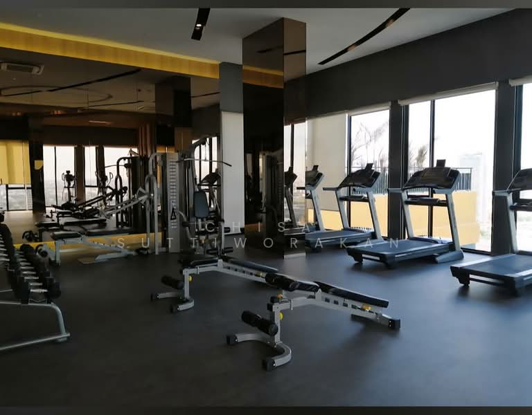 The Tree Sukhumvit 71-Ekamai, Bangkok, 1269 Sukhumvit 71 Road, Suan Luang, Suan Luang, Bangkok, 1 Bedroom, 30 sqm, Condo For Rent, by Chisa Suttiworakan, 500218126 - DDproperty.com