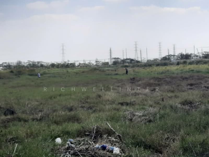 Land for sale in Phan Thong, Muang district, 2 rai, Ban Kao Soi 13, adjacent to Amata Industrial, Chon Buri (Pattaya), Ban Khao, Phan Thong, Chon Buri (Pattaya), , 3,200 sqm, Land For Sale, by richwellinter, 500218146 - DDproperty.com