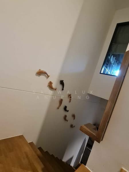 Pleno Sukhumvit-Bangna, Samut Prakan, Bua Nakarin Road, Bang Kaeo, Bang Plee, Samut Prakan, 3 Bedrooms, 107 sqm, Townhouse For Rent, by Saowaluk Anupong, 500218191 - DDproperty.com