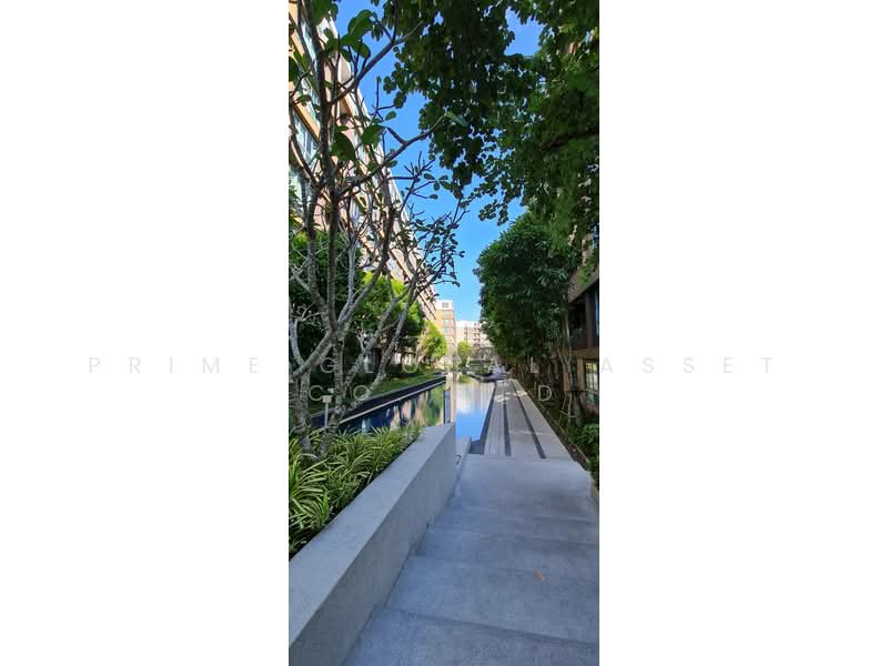 Dcondo Creek Phuket : ดีคอนโด ครีก ภูเก็ต, ภูเก็ต, 81 ม.2, กะทู้, กะทู้, ภูเก็ต, 30 ตร.ม., คอนโด ให้เช่า, โดย Prime Global Asset Co.,Ltd, 500218284 - DDproperty.com