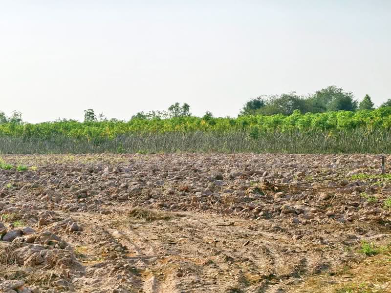 ที่ดินจอมบึง ราชบุรี, ราชบุรี, จอมบึง, จอมบึง, ราชบุรี, 16,544 ตร.ม., ที่ดิน ขาย, โดย The Best Property ต้น, 500218289 - DDproperty.com