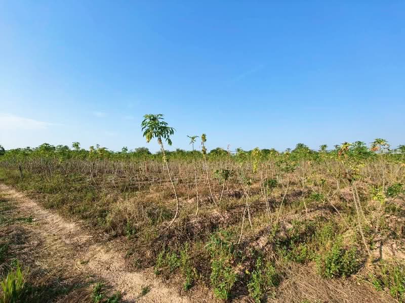 ที่ดินจอมบึง ราชบุรี, ราชบุรี, จอมบึง, จอมบึง, ราชบุรี, 16,544 ตร.ม., ที่ดิน ขาย, โดย The Best Property ต้น, 500218289 - DDproperty.com