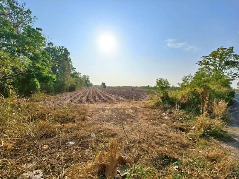 ที่ดินจอมบึง ราชบุรี, ราชบุรี, จอมบึง, จอมบึง, ราชบุรี, 16,544 ตร.ม., ที่ดิน ขาย, โดย The Best Property ต้น, 500218289 - DDproperty.com