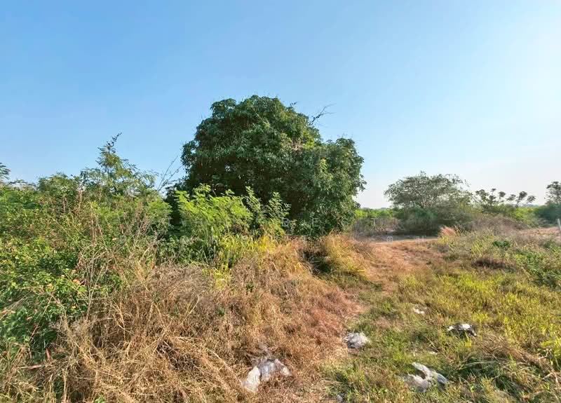 ที่ดินจอมบึง ราชบุรี, Ratchaburi, Chom Bung, Chom Bung, Ratchaburi, , 16,544 sqm, Land For Sale, by The Best Property ต้น, 500218289 - DDproperty.com