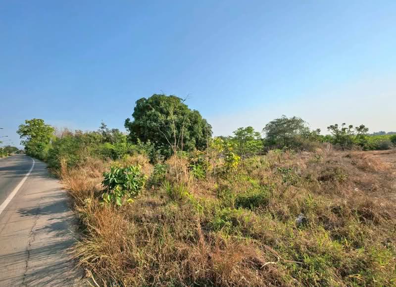 ที่ดินจอมบึง ราชบุรี, ราชบุรี, จอมบึง, จอมบึง, ราชบุรี, 16,544 ตร.ม., ที่ดิน ขาย, โดย The Best Property ต้น, 500218289 - DDproperty.com