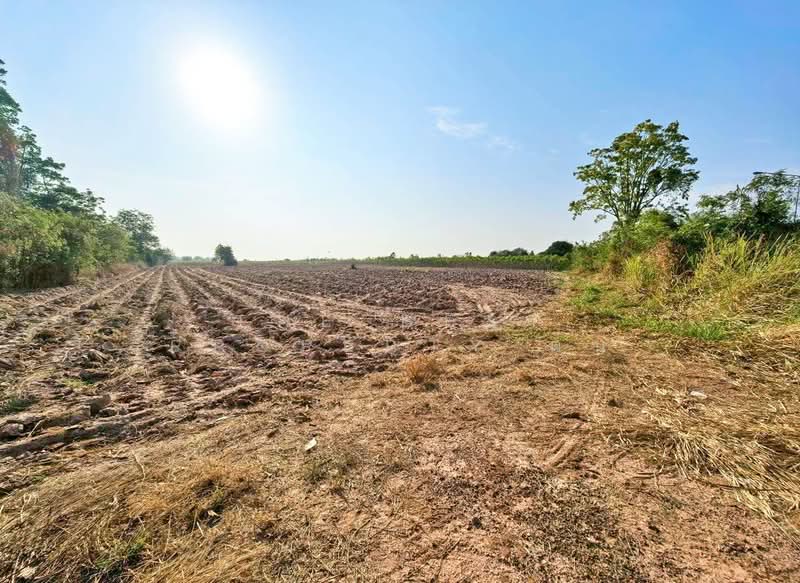 ที่ดินจอมบึง ราชบุรี, Ratchaburi, Chom Bung, Chom Bung, Ratchaburi, , 16,544 sqm, Land For Sale, by The Best Property ต้น, 500218289 - DDproperty.com