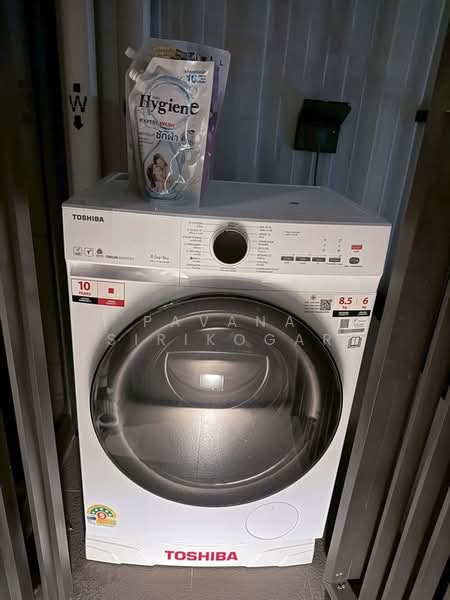 The FINE Bangkok Thonglor-Ekamai, Bangkok, Soi Ekamai, Khlong Tan Nua, Watthana, Bangkok, 1 Bedroom, 34 sqm, Condo For Rent, by Pavana Sirikogar, 500218413 - DDproperty.com