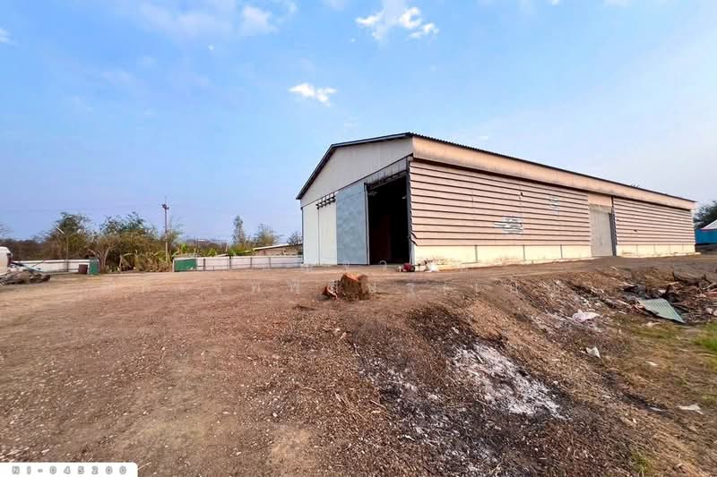 ขาย - ที่ดินวังบัว 27 ไร่ 19 ตร.ว. คลองขลุง กำแพงเพชร ใกล้องค์การบริหารส่วนตำบลวังบัว NI-045200, กำแพงเพชร