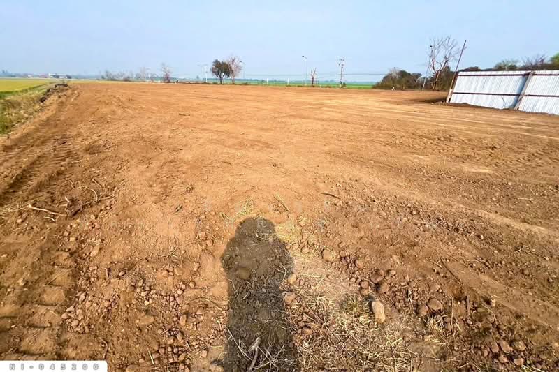 ขาย - ที่ดินวังบัว 27 ไร่ 19 ตร.ว. คลองขลุง กำแพงเพชร ใกล้องค์การบริหารส่วนตำบลวังบัว NI-045200, กำแพงเพชร