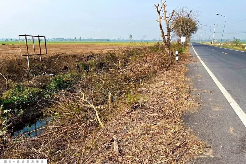 ขาย - ที่ดินวังบัว 27 ไร่ 19 ตร.ว. คลองขลุง กำแพงเพชร ใกล้องค์การบริหารส่วนตำบลวังบัว NI-045200, กำแพงเพชร