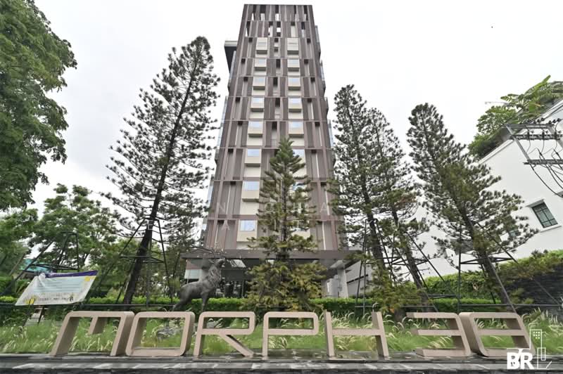 IDEO Morph 38, Bangkok, 88 Sukhumvit Road, Phra Kanong, Khlong Toei, Bangkok, 1 Bedroom, 37 sqm, Condo For Rent, by Nicha Peerakittikul, 500218488 - DDproperty.com