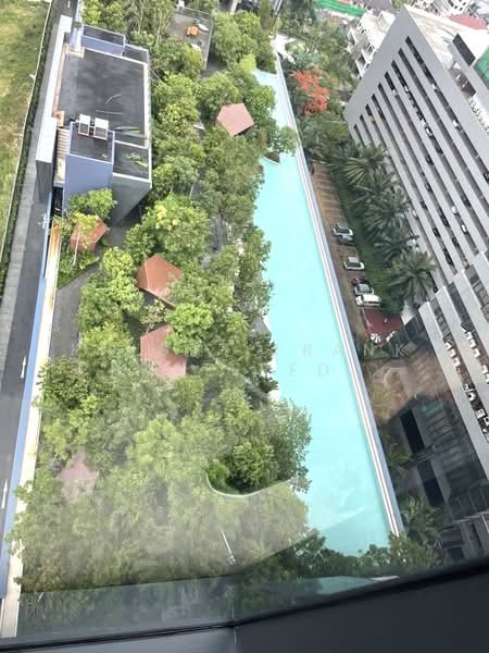 One9Five Asoke-Rama 9 : วัน ไนน์ ไฟว์ อโศก-พระราม 9, กรุงเทพ, 195 ถนนพระราม 9 ซอย 5, ห้วยขวาง, ห้วยขวาง, กรุงเทพ, 70 ตร.ม., คอนโด ให้เช่า, โดย Knight Frank Chartered (Thailand) Co.,Ltd, 500218506 - DDproperty.com