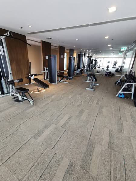 The Lakes, Bangkok, 123 Ratchadaphisek Road, Khlong Toei, Khlong Toei, Bangkok, 1 Bedroom, 67 sqm, Condo For Rent, by Pavana Sirikogar, 500218594 - DDproperty.com