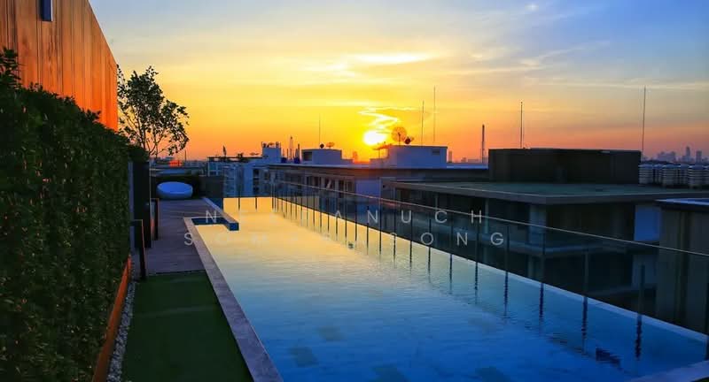 The Tree Sukhumvit 64, Bangkok, Soi Sukhumvit 64, Bang Chak, Phra Khanong, Bangkok, 1 Bedroom, 28 sqm, Condo For Sale, by Neeranuch Somprasong, 500218750 - DDproperty.com