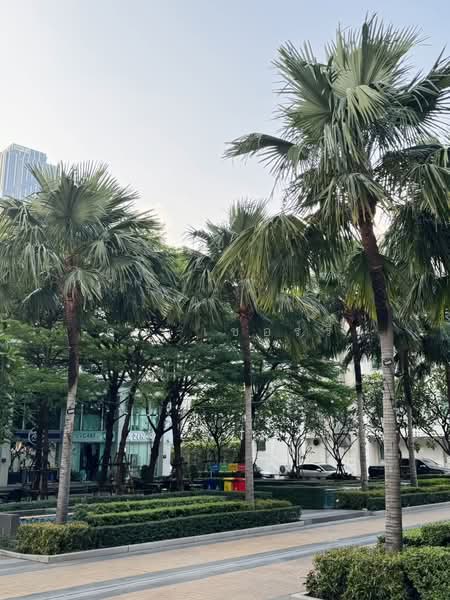 TC Green Rama 9, Bangkok, Rama 9 Road, Huai Khwang, Huai Khwang, Bangkok, 1 Bedroom, 39 sqm, Condo For Sale, by คุณ เชอร์รี่, 500218791 - ทางเข้าคอนโด - DDproperty.com