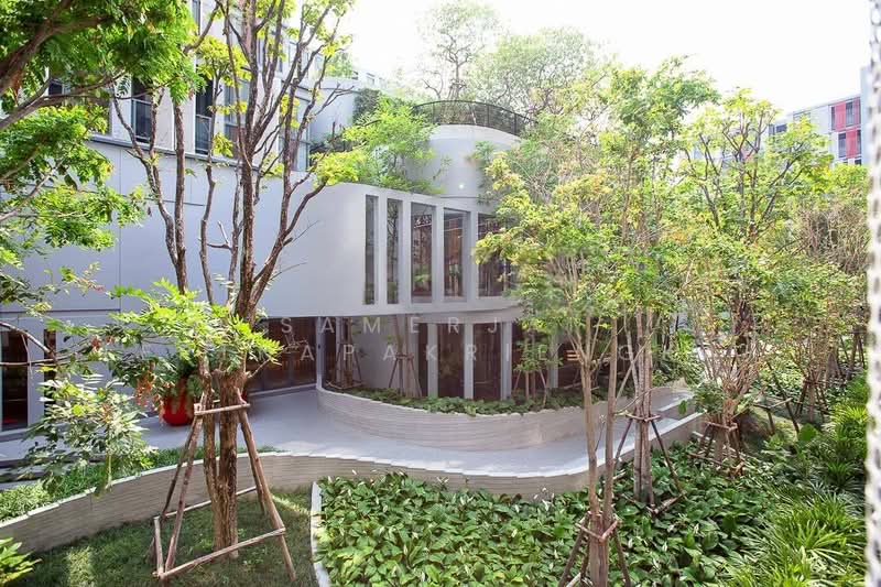 Taka Haus : ทากะ เฮาส์, กรุงเทพ, 99 ซอยเอกมัย 10, คลองตันเหนือ, วัฒนา, กรุงเทพ, 62 ตร.ม., คอนโด ให้เช่า, โดย Samerjai Lertnapakriengkai, 500218864 - DDproperty.com