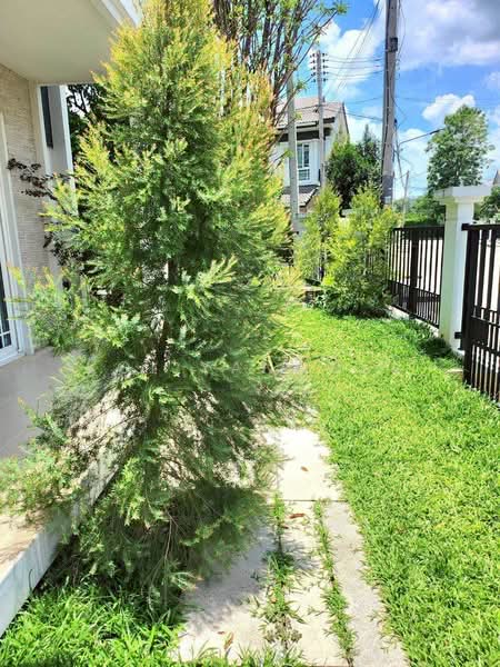 Siwalee Choeng Doi, Chiang Mai, Mae Hia, Muang Chiang Mai, Chiang Mai, 3 Bedrooms, 166 sqm, Single Detached House For Rent, by Koi Yanawee, 500218892 - DDproperty.com