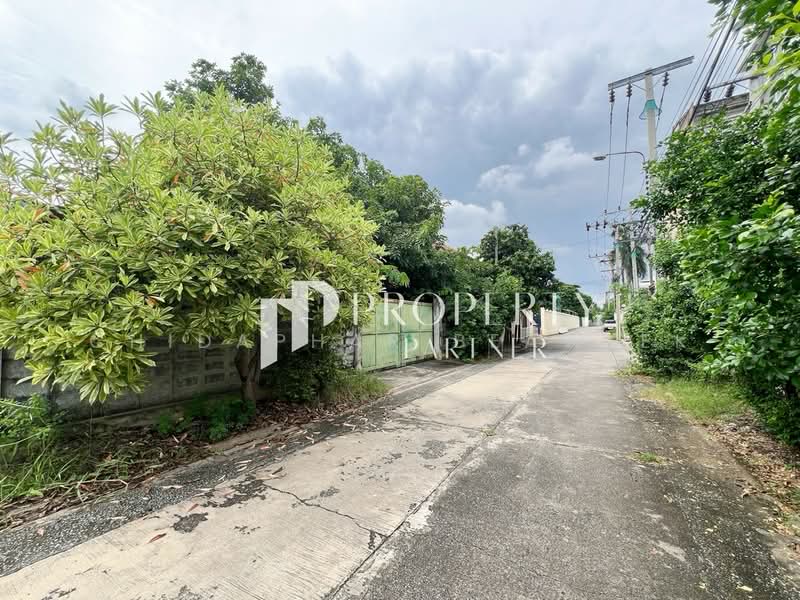 Land Soi Onnut 14, Bangkok, อ่อนนุช, Bang Chak, Phra Khanong, Bangkok, , 764 sqm, Land For Sale, by Chidaphar Beawlek, 500219051 - DDproperty.com