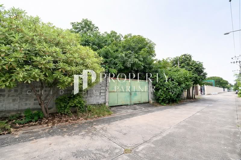 ที่ดิน ซอยอ่อนนุช 14, กรุงเทพ, อ่อนนุช, บางจาก, พระโขนง, กรุงเทพ, 764 ตร.ม., ที่ดิน ขาย, โดย Chidaphar Beawlek, 500219051 - DDproperty.com