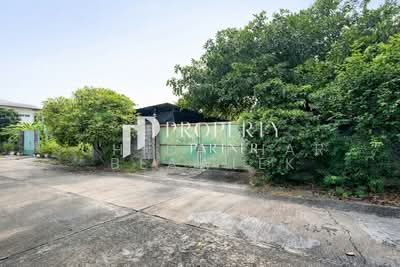 ขาย - ที่ดิน ซอยอ่อนนุช 14, กรุงเทพ