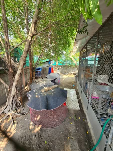 บ้านเดี่ยวสำนักบก ชลบุรี, Chon Buri (Pattaya), Sanak Bok, Muang Chon Buri, Chon Buri (Pattaya), 3 Bedrooms, 100 sqm, Single Detached House For Sale, by The Best Property ปุ้ย, 500219220 - DDproperty.com