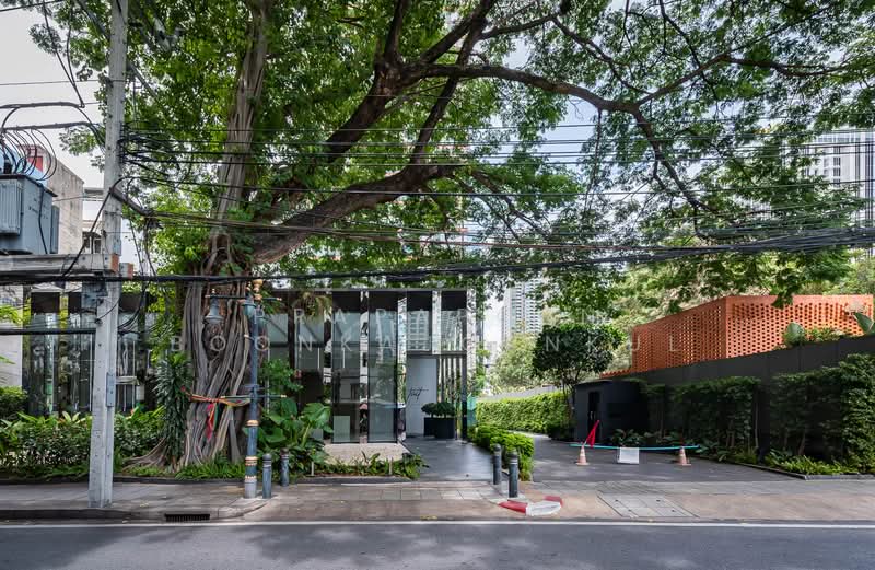 Prime Retail & Land near Silom Road, Near Residential, High Visibility, Bangkok, Silom, Bang Rak, Bangkok, , 1,154 sqm, Retail Space For Rent, by Prapaporn Boonkajonkul, 500219263 - DDproperty.com